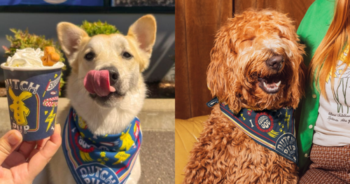 Free Pet Bandana with Drink Purchase at Dutch Bros on August 26th